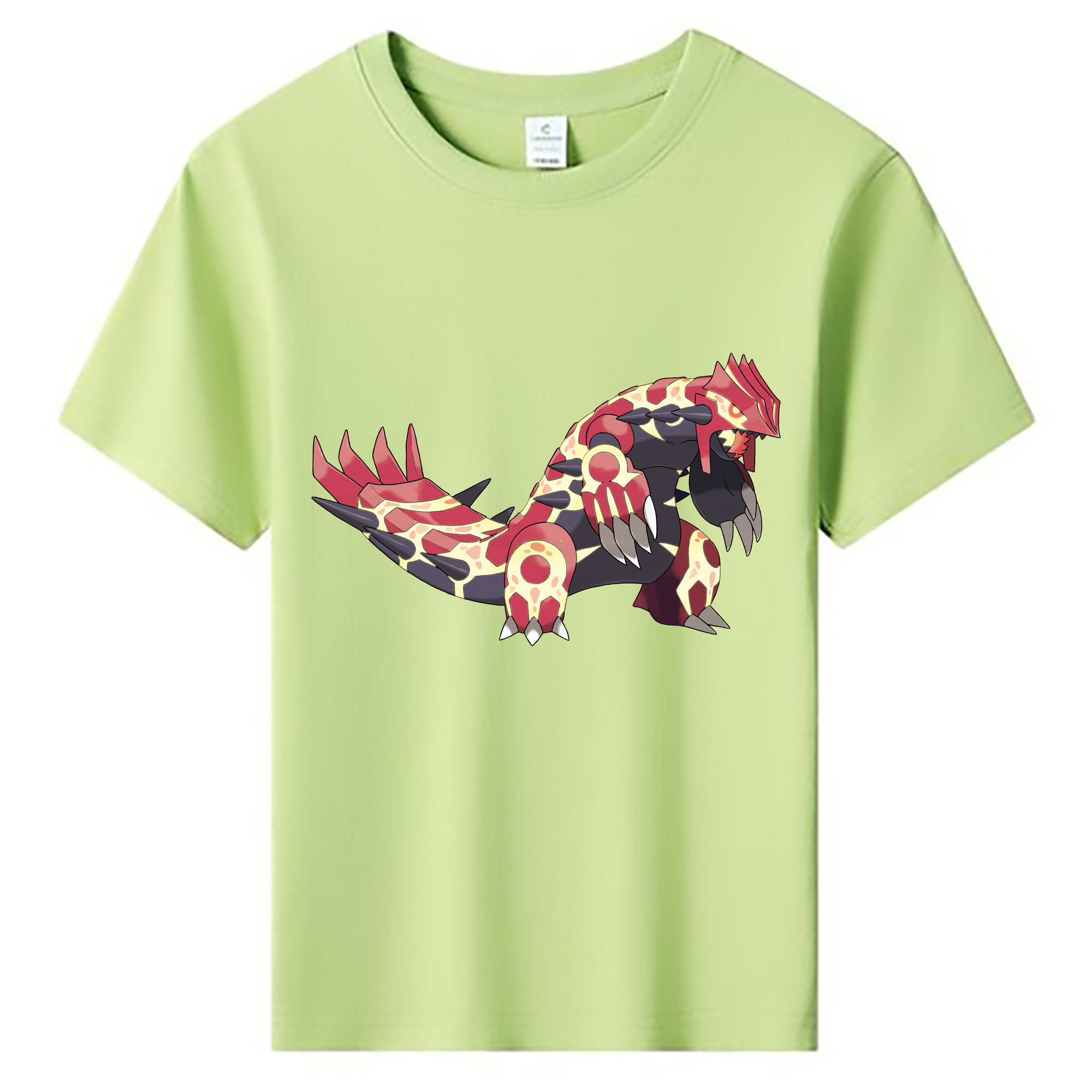 （画像用） ポケットモンスター Pokémon 綿100％キッズTシャツ（フロントプリント）